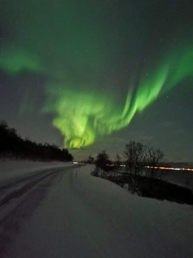 Aurora Rooms In Shared Apartment Nr2 We Are Doing Privet Northen Lights Trips, Reindeer Trip And Fjord Sommaroy Trip Tromsø Exterior foto