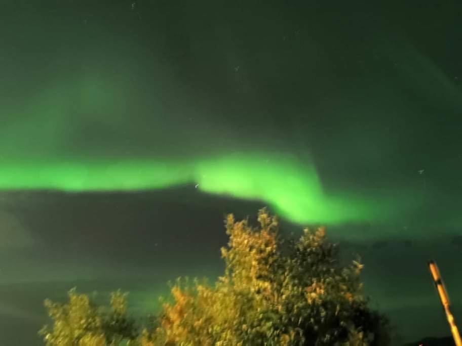 Aurora Rooms In Shared Apartment Nr2 We Are Doing Privet Northen Lights Trips, Reindeer Trip And Fjord Sommaroy Trip Tromsø Exterior foto
